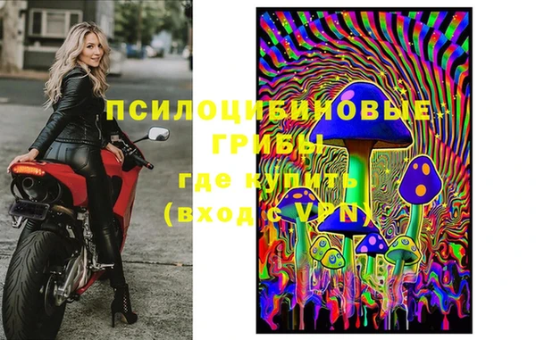 ГАЛЛЮЦИНОГЕННЫЕ ГРИБЫ Абинск