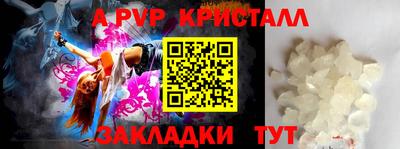 спиды Славгород