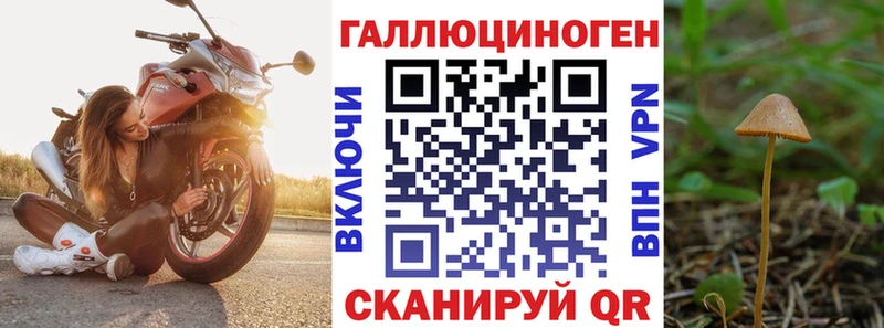 Галлюциногенные грибы Psilocybine cubensis  Отрадное 